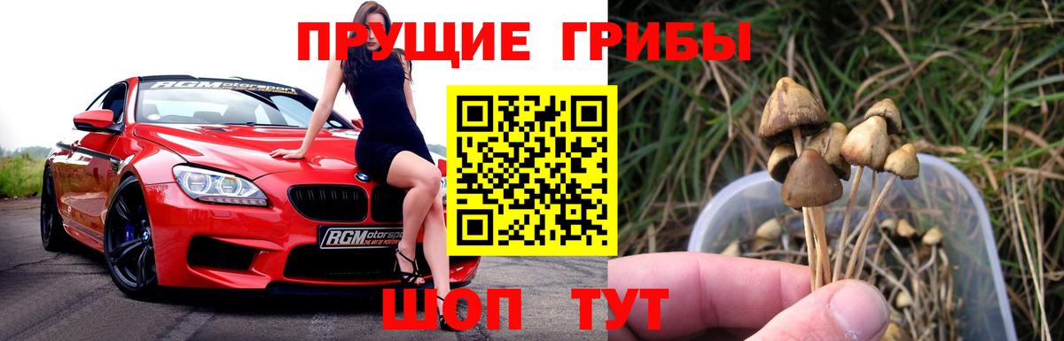 Псилоцибиновые грибы GOLDEN TEACHER  Вход с VPN  Галлюциногенные грибы Cubensis  Черкесск 